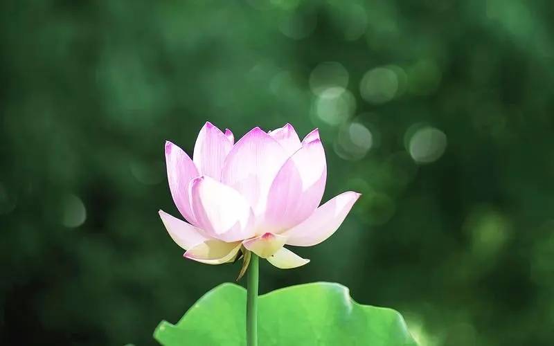 解读：牌阵与深度解析指南ky开元棋牌塔罗牌财运(图1)
